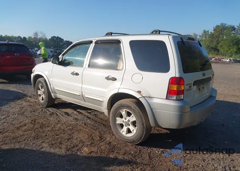 2007 Ford Escape Xlt/Xlt Sport from USA, damaged, VIN 1FMYU03137KB61562